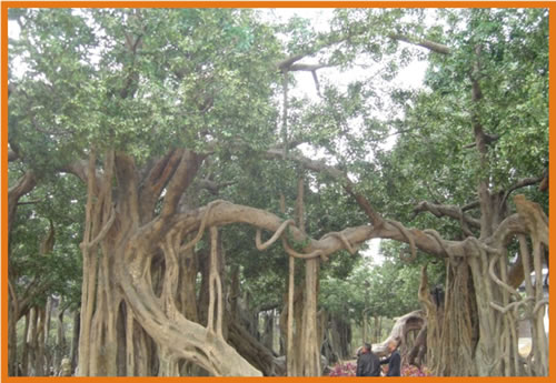 松兰山海滨旅游度假村